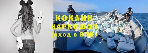гидра Белоозёрский