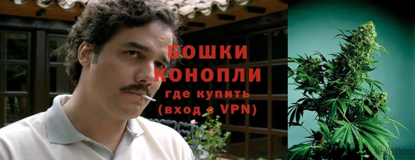 прущие грибы Беломорск